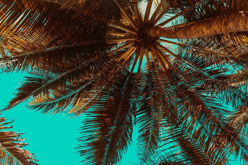 Fiji
